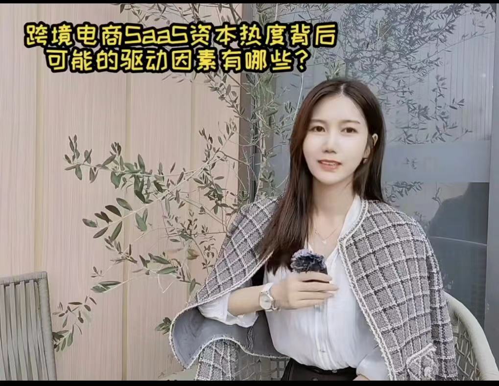 #跨境電商SaaS#資本熱度背后的驅(qū)動(dòng)因素都有哪些？